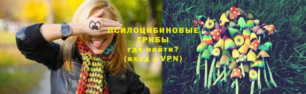 герыч Россошь