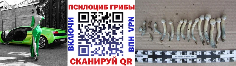 Галлюциногенные грибы GOLDEN TEACHER  Грязи 